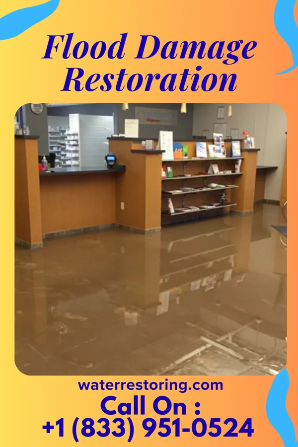 Flood Damage Restoration in Edmond, KS